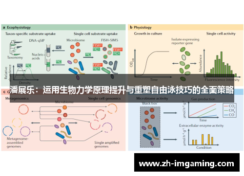潘展乐：运用生物力学原理提升与重塑自由泳技巧的全面策略