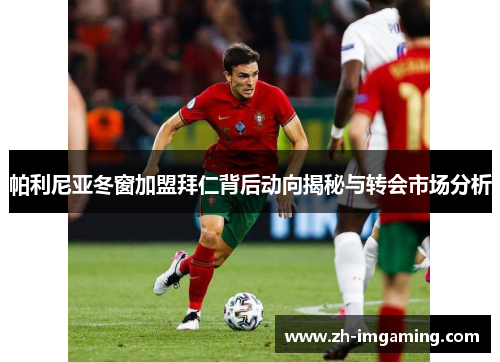 帕利尼亚冬窗加盟拜仁背后动向揭秘与转会市场分析