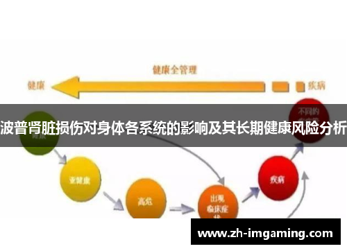 波普肾脏损伤对身体各系统的影响及其长期健康风险分析