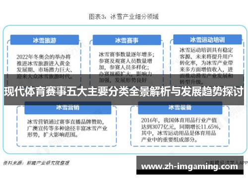 现代体育赛事五大主要分类全景解析与发展趋势探讨